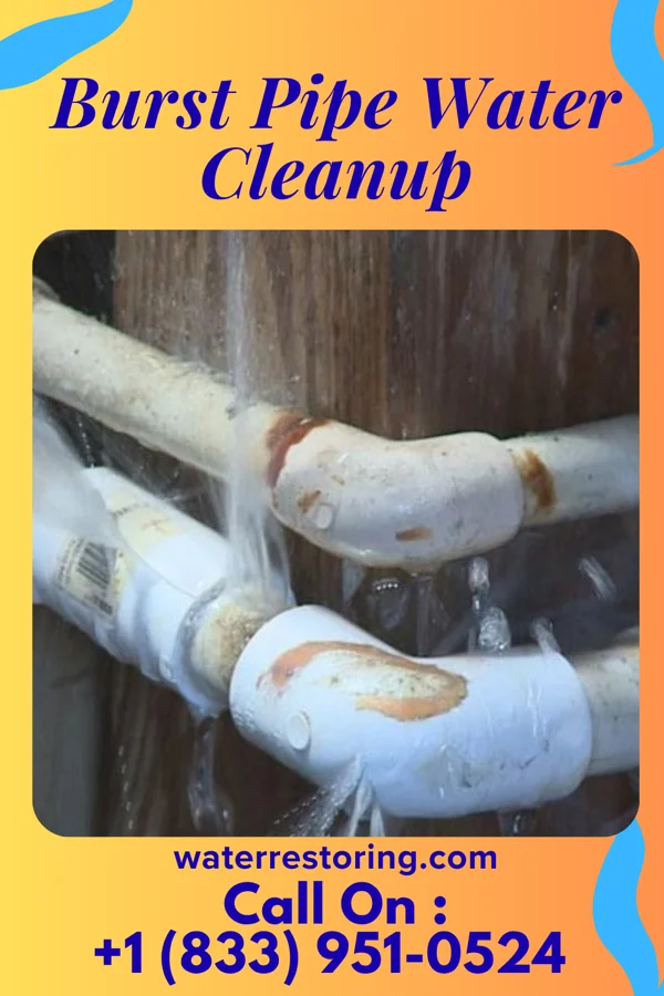 Burst Pipe Water Cleanup in Weekapaug, RI