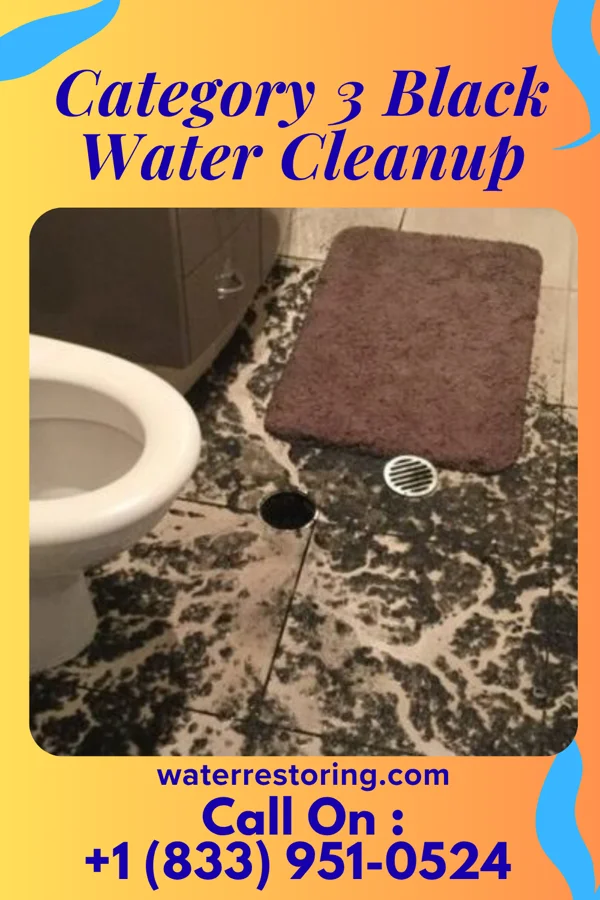 Category 3 Black Water Cleanup in Weekapaug, RI
