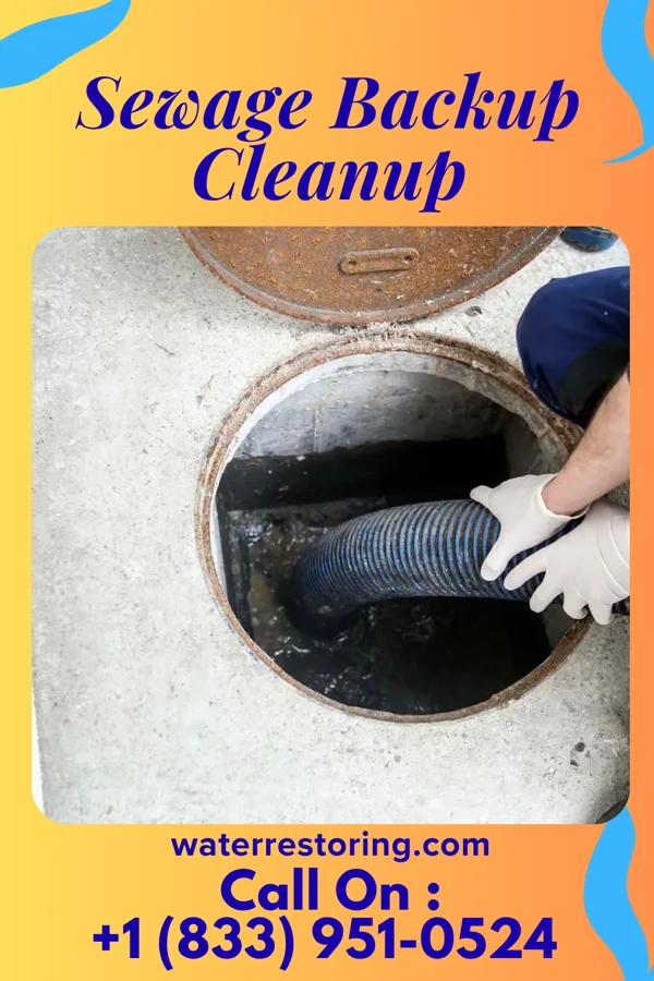 Sewage Backup Cleanup in Weekapaug, RI