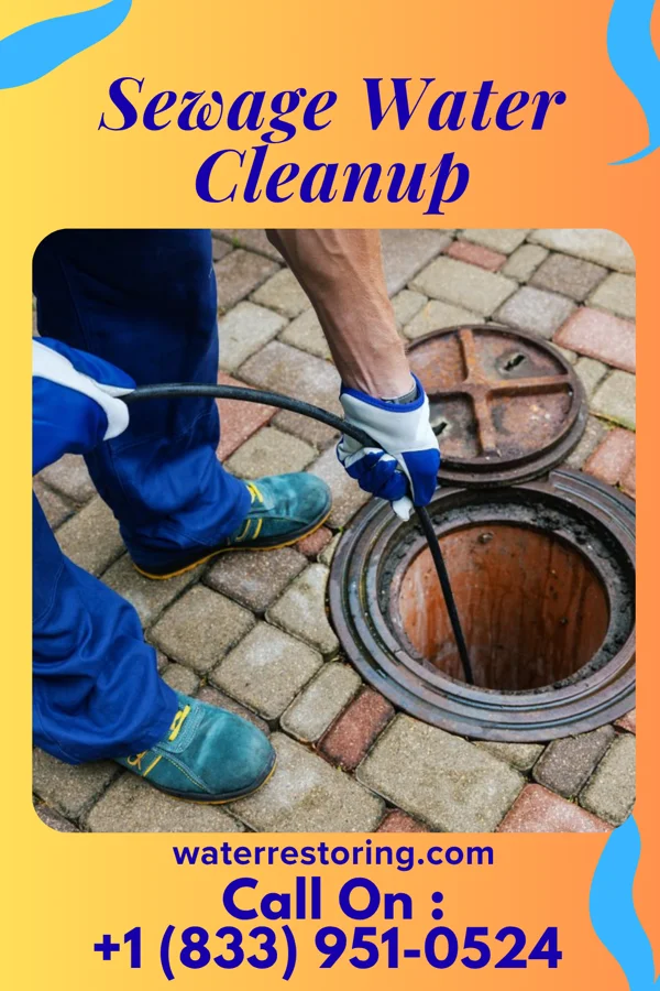 Sewage Water Cleanup in Weekapaug, RI